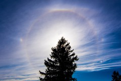 Halo am Almberg (09/2020)