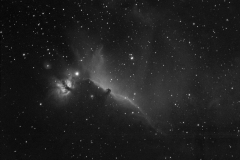 Pferdekopfnebel (ASI183, H-Alpha Filter, 200mm Nikkor)