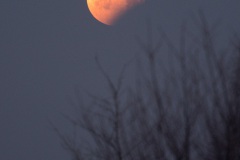 Totale Mondfinsternis am 21.1.2019